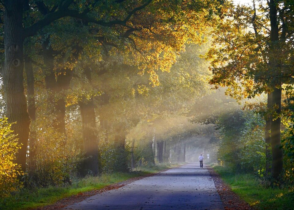 An image of a man on a wooded path, representing how Anna M. Price can help you face the challenges in navigating court systems and options when attempting to obtain guardianship of an adult.