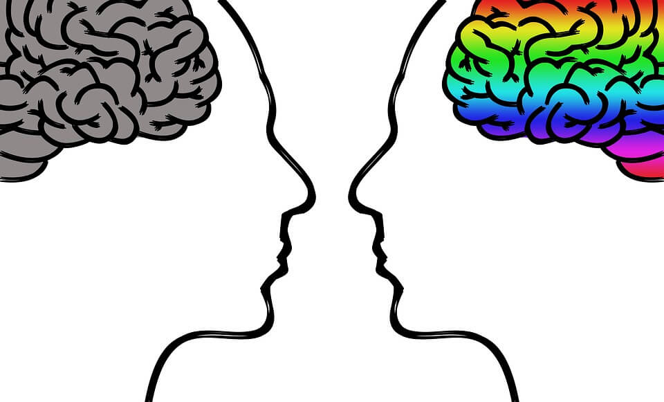 An image of the profiles of two heads facing each other, one with a grey brain and one with a brightly-colored brain, representing the impact of unconscious bias in WV by limiting diversity in the workplace and how an experienced attorney can help.