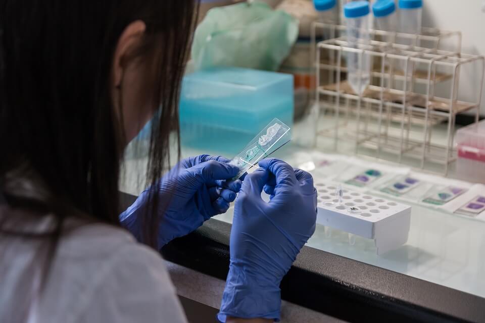 Image of a laboratory assistant performing a test on a blood sample, representing the need to seek the advice of an experienced attorney before conducting  mandatory post-accident drug testing in WV.