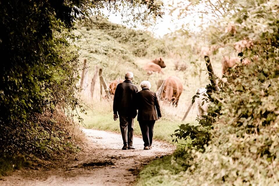 An image of an elderly couple walking down a path, representing the importance of being forward-looking in regard to estate plans and social security.