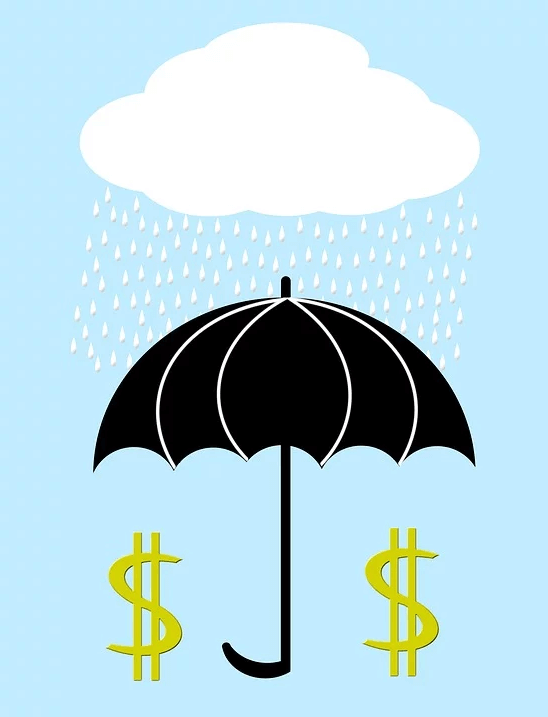 Image of an umbrella shielding dollar signs from a raincloud, representing how attorney Anna M. Price of Jenkins Fenstermaker, PLLC can help you with estate planning asset protection strategies in WV, KY, and OH like self-settled spendthrift trusts.