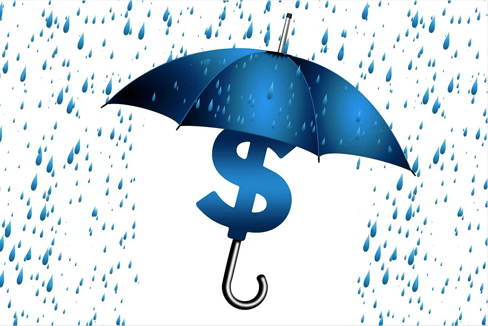 Image of dollar sign shielded from rain under an umbrella, representing how Anna M. Price helps clients understand which estate planning tools, such as charitable lead trusts, can promote charitable giving while providing wealth protection.